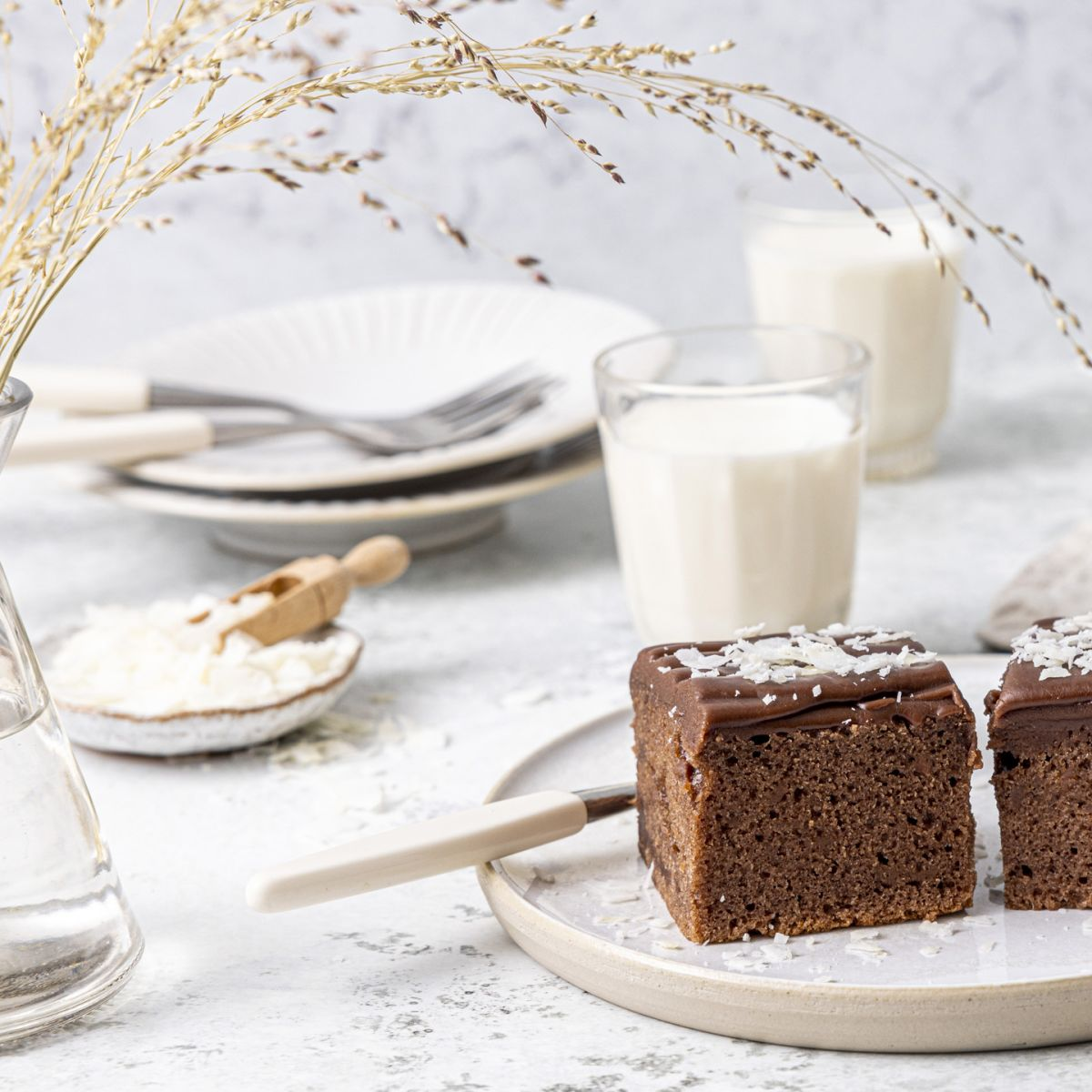 Sjokoladekake med sjokoladeglasur og kokos