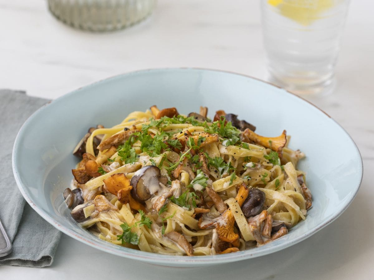 Pappas bredbåndspasta