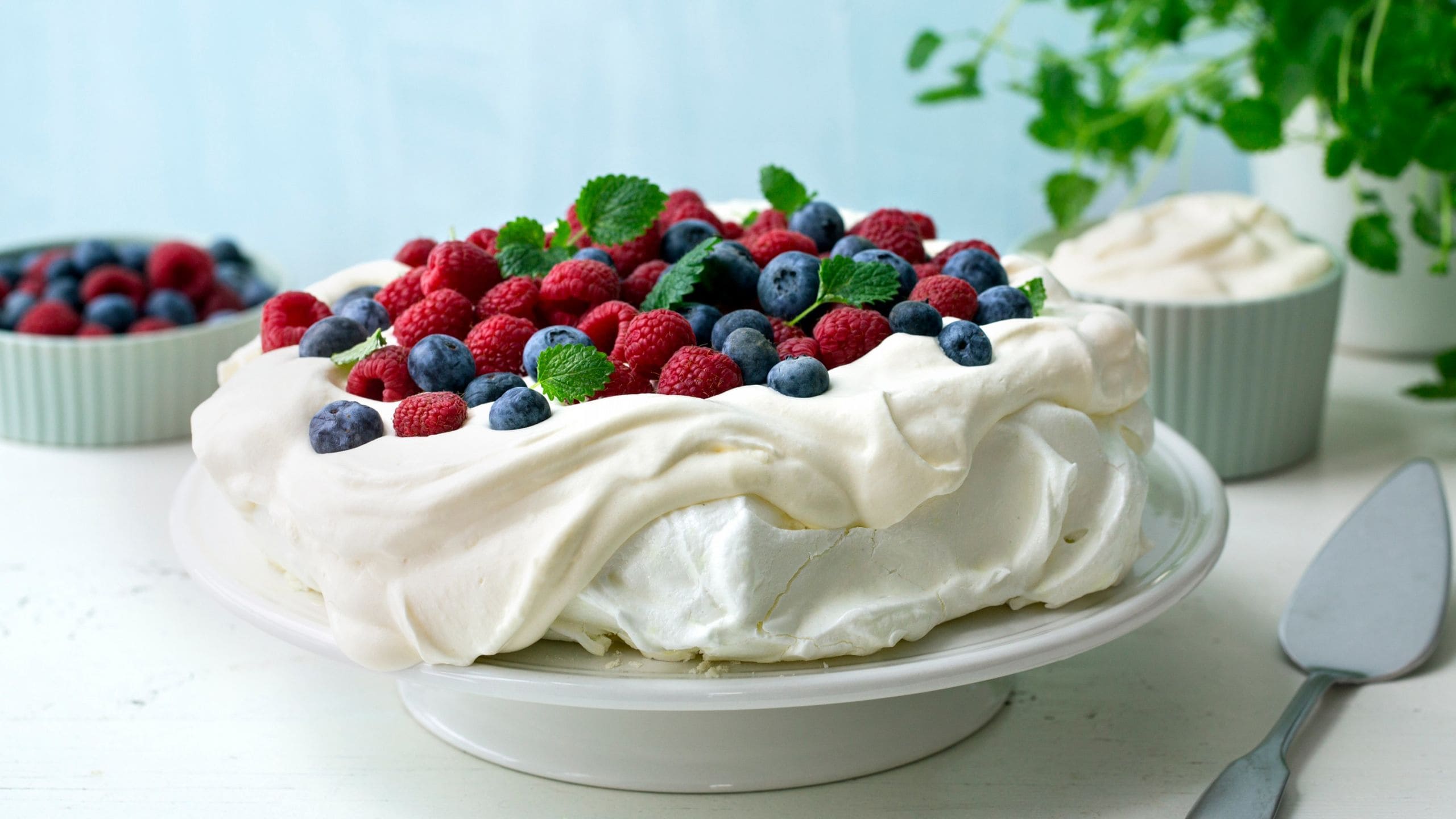 Pavlova Tips Bilde