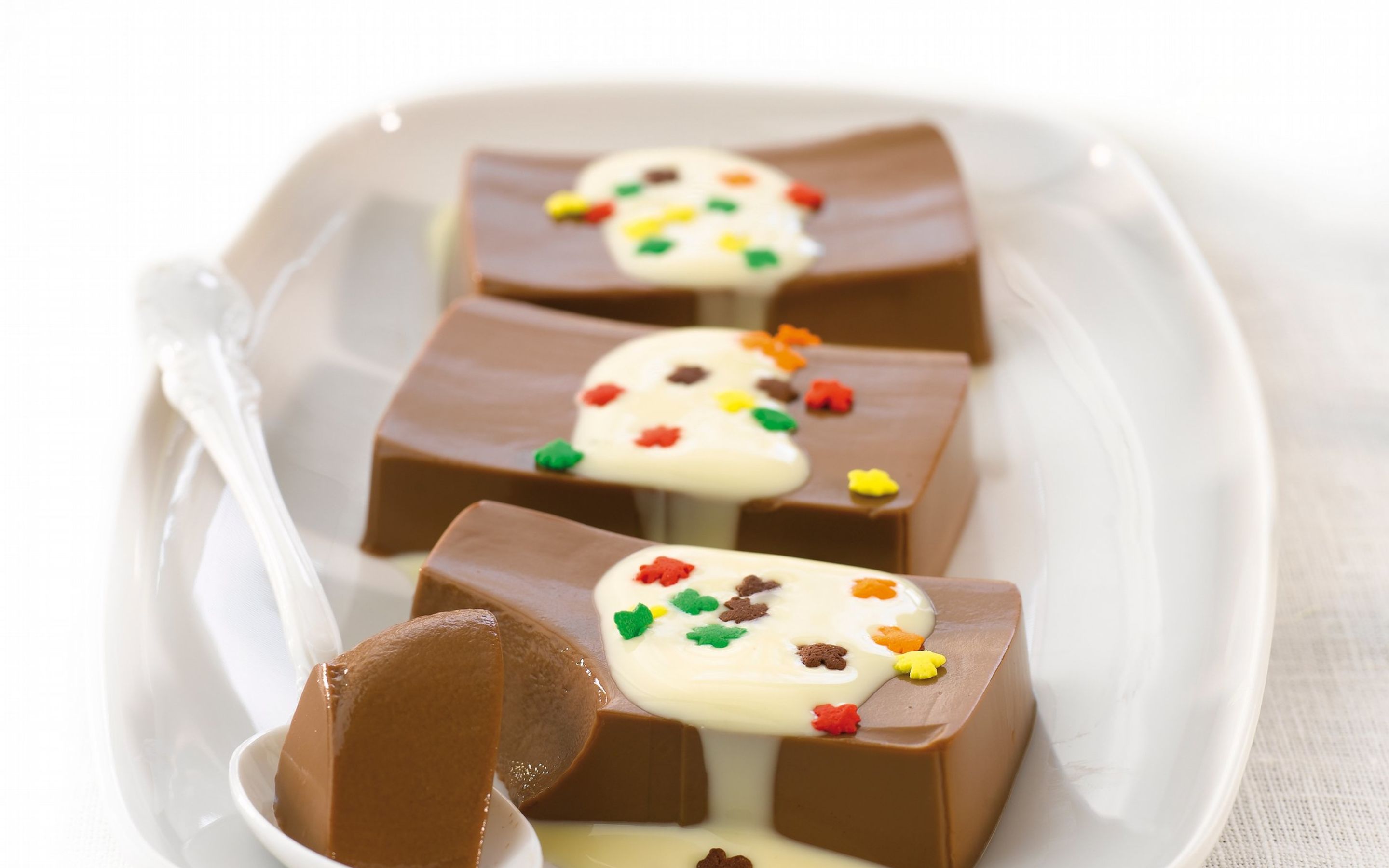 Sjokoladepudding