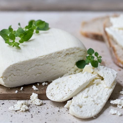 Indisk paneer