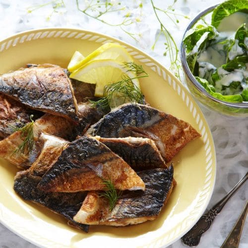 Stekt makrell med sommersalat