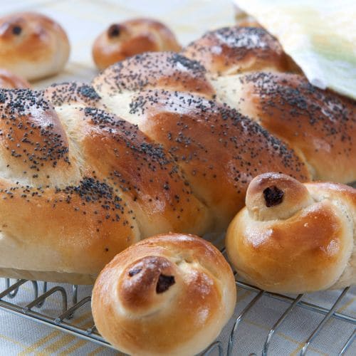 Påskekyllinger 
