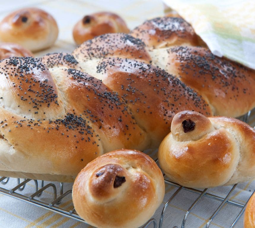 Påskekyllinger