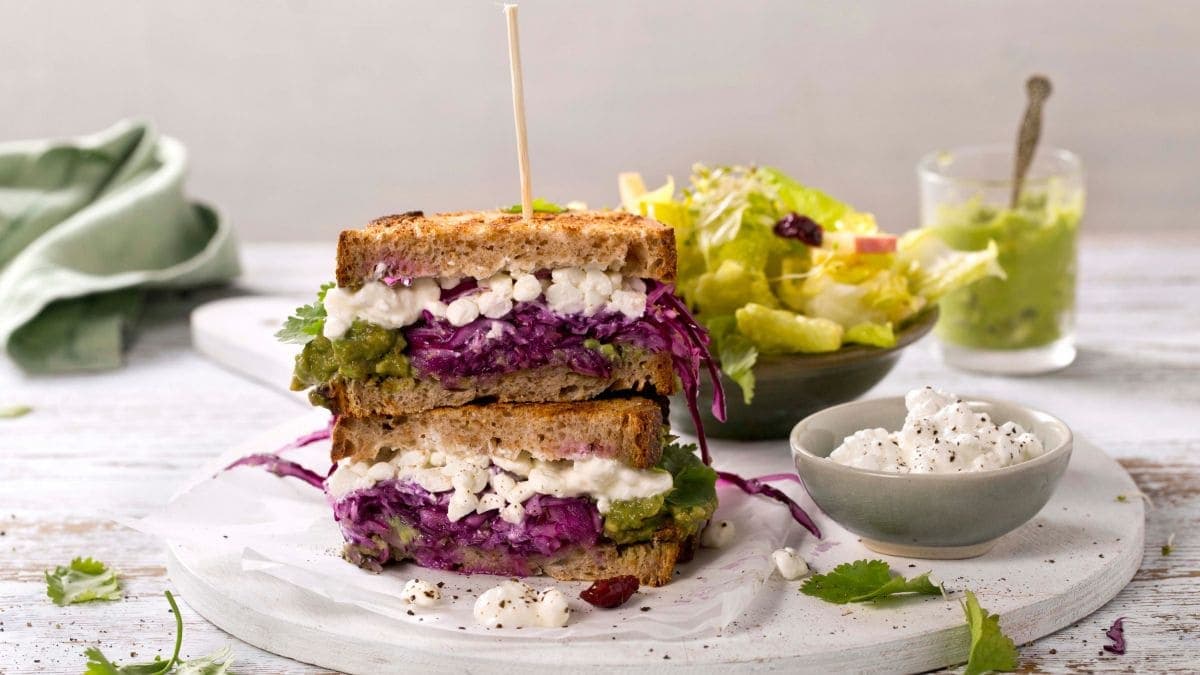 Avokadotoast med rødkål og Cottage Cheese