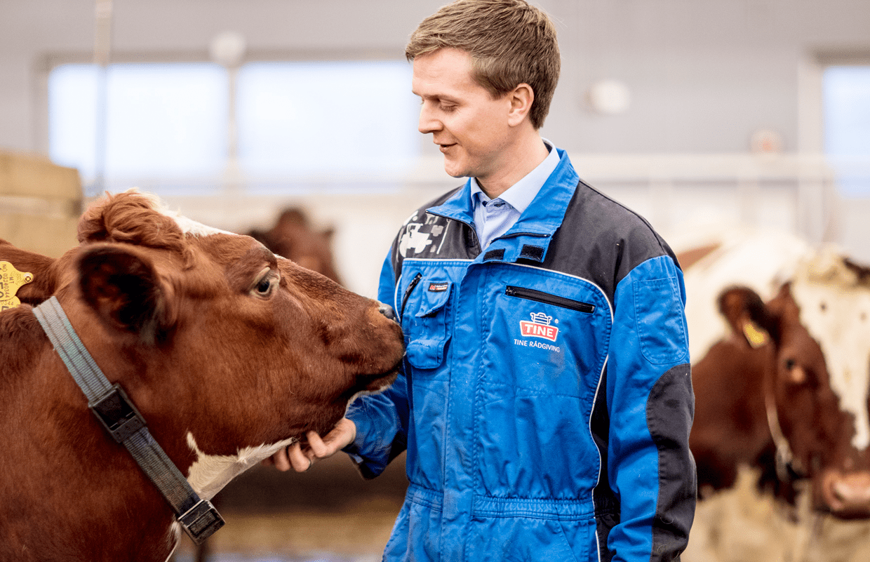 dyrevelferd- omsorg er viktig for dyrenes velferd2