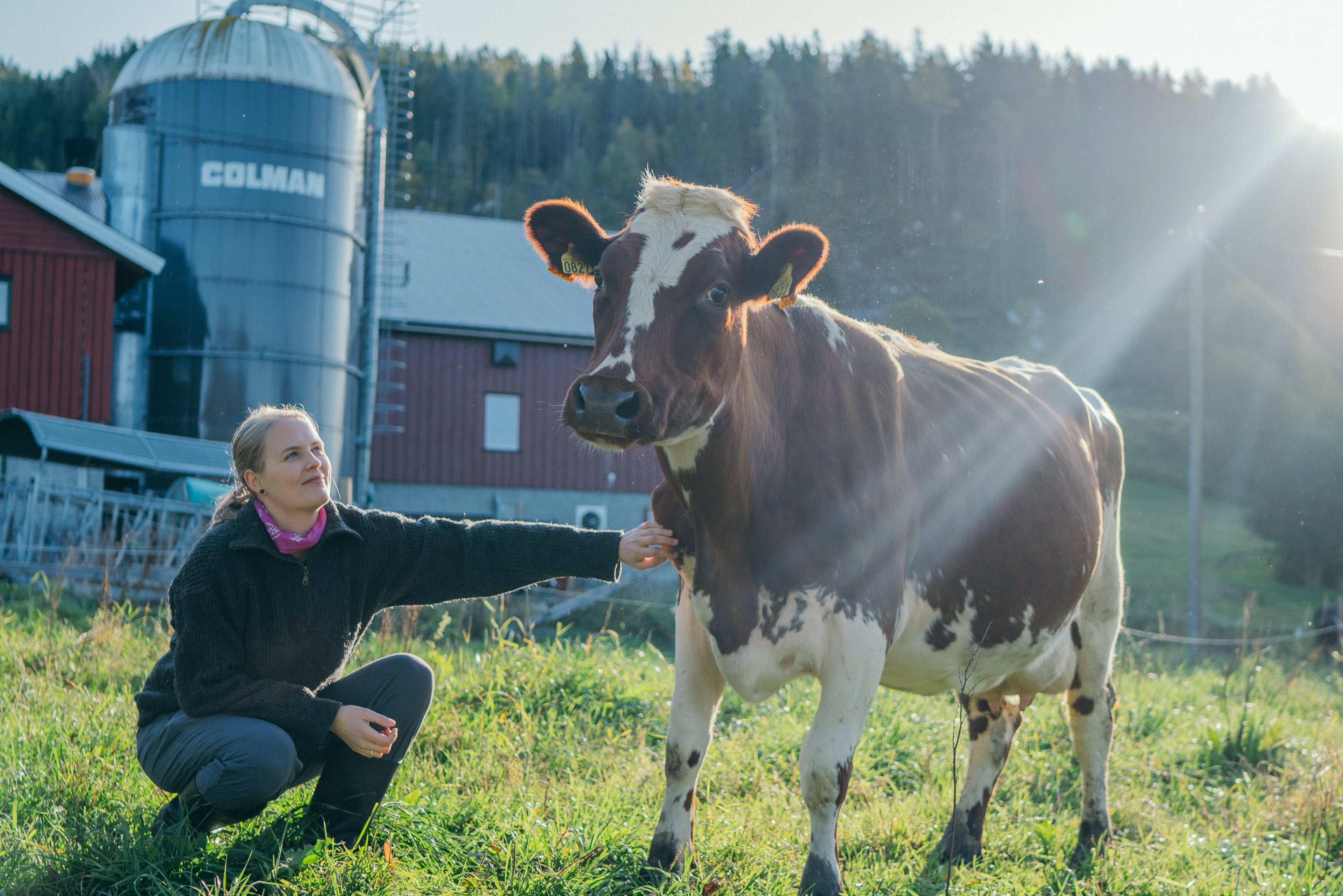 Halvor Heggtveit, foto Torstein Kiserud