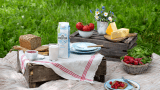 TINE Kefir piknik i eng
