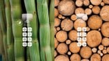 Fornybare melkekartonger illustrasjonsbilde