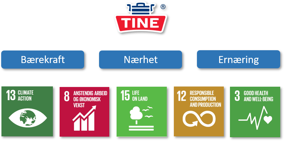 FN bærekraft mål 1