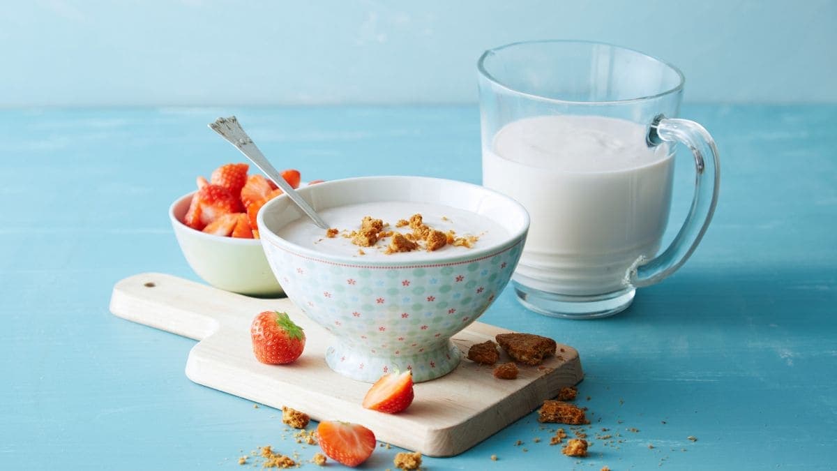 Koldskål med kulturmelk