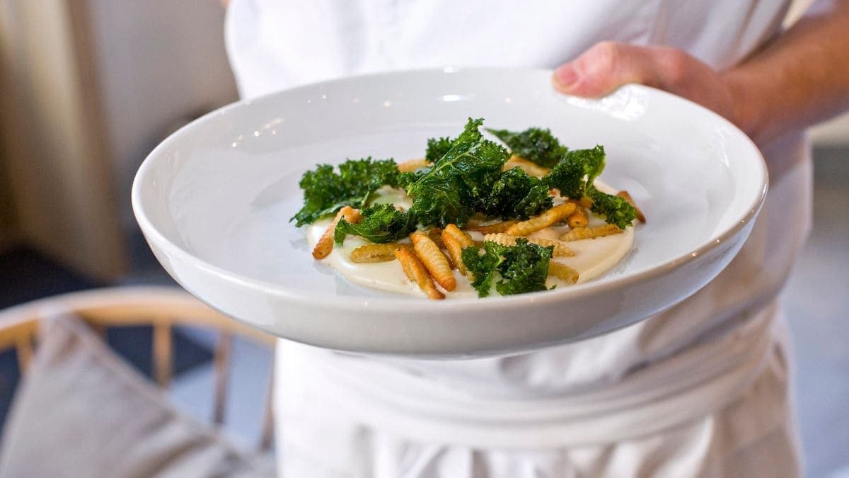 Pasta cavatelli med parmesankrem og grønnkål