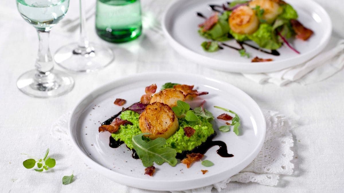 Stekte kamskjell med ertepuré
