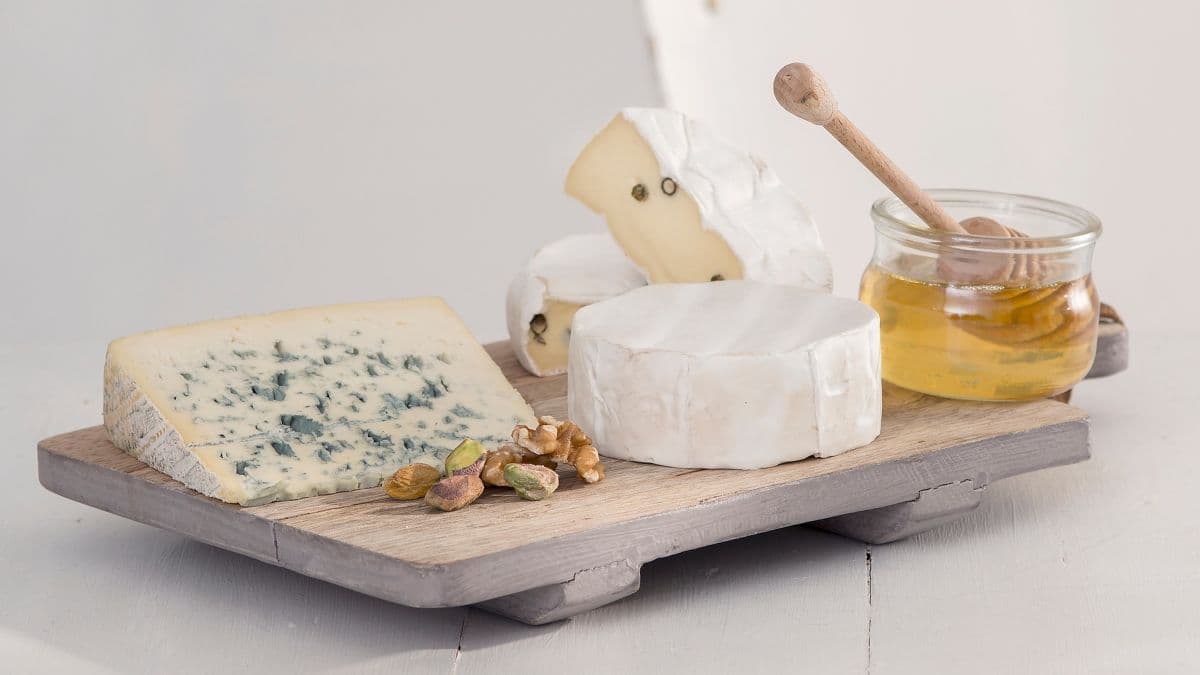Ostefat med aprikospuré og nøtteblanding