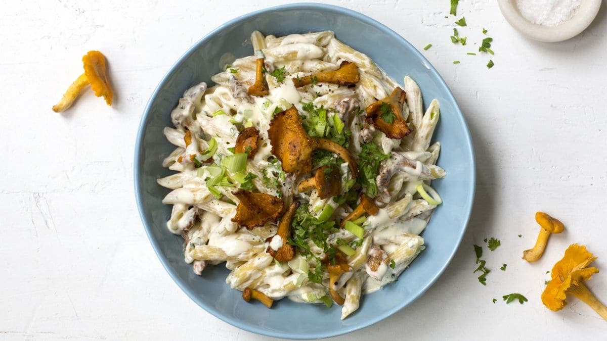 Garganelli med kantareller