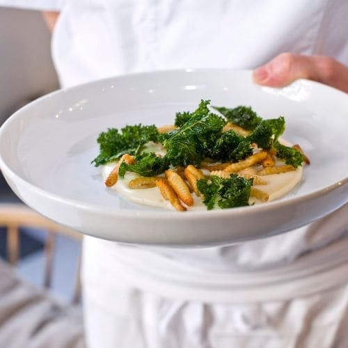 Pasta cavatelli med parmesankrem og grønnkål