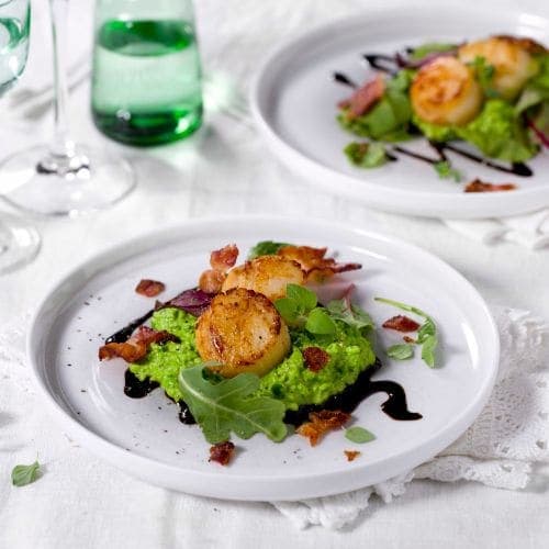 Stekte kamskjell med ertepuré