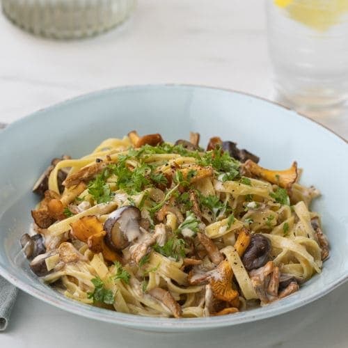 Pappas bredbåndspasta