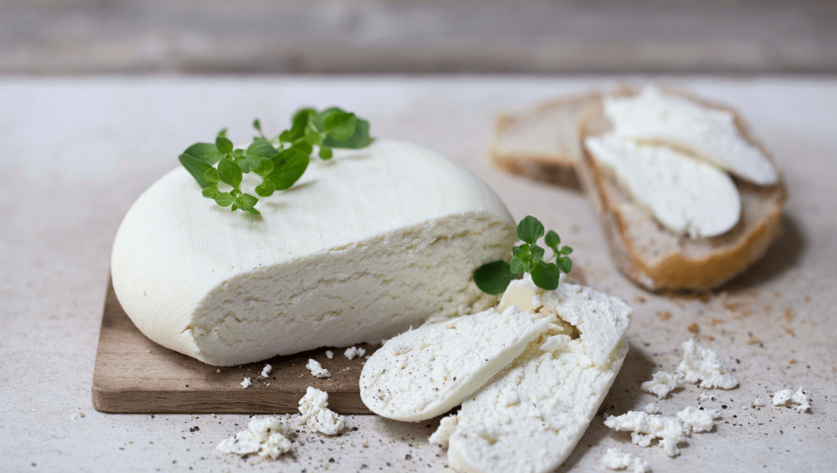 Hjemmelaget paneer-ost